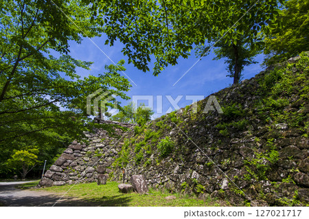Komoro Castle Ruins, a nostalgic garden surrounded by fresh greenery Komoro Castle Ruins, a nostalgic garden surrounded by fresh greenery 127021717