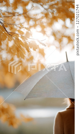 A warm autumn day with falling leaves, a person with an umbrella, and cozy ambient light 127021744