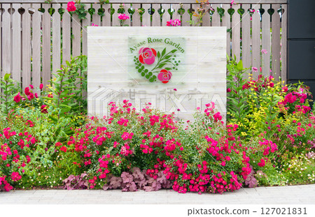 The sign at the entrance to Ayase Rose Garden (Koyo Park, Ayase City), where roses are in full bloom. Renovated in May 2025. The sign at the entrance to Ayase Rose Garden (Koyo Park, Ayase City), where roses are in full bloom. Renovated in May 2025. 127021831