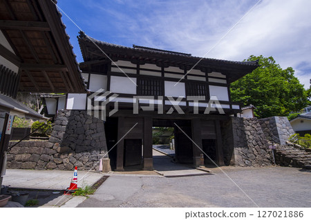 Komoro Castle Ruins, a nostalgic garden surrounded by fresh greenery 127021886