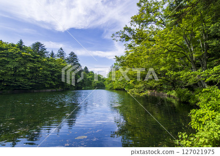 The beautiful greenery of Kumoba Pond in Karuizawa, Nagano Prefecture in early summer The beautiful greenery of Kumoba Pond in Karuizawa, Nagano Prefecture in early summer 127021975