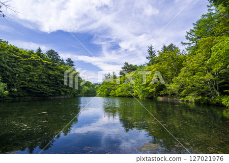 The beautiful greenery of Kumoba Pond in Karuizawa, Nagano Prefecture in early summer The beautiful greenery of Kumoba Pond in Karuizawa, Nagano Prefecture in early summer 127021976