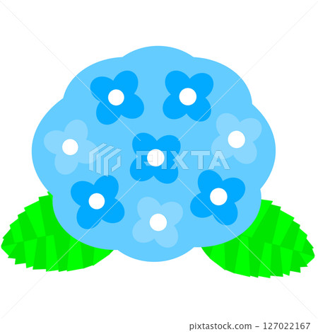 A cute illustration of hydrangea flowers that decorate the rainy season and early summer 127022167