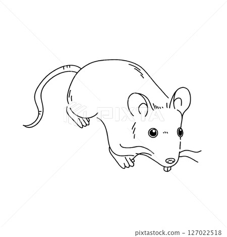 Illustration of a simple mouse Illustration of a simple mouse 127022518