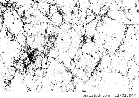 Abstract grunge black and white distressed texture background 127022847