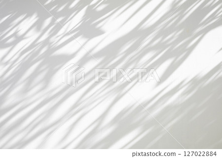 Abstract natural tree leaves shadow on white wall background Abstract natural tree leaves shadow on white wall background 127022884