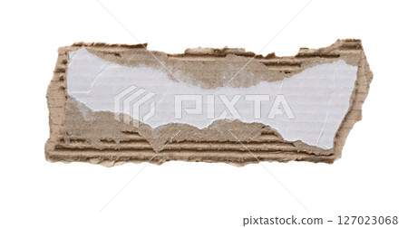 piece of white paper tear isolated on white background 127023068