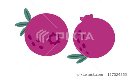 Featuring two simple cartoon style pomegranates, one revealing its star shaped seed section, resting on a plain white background adorned with small green leaves Featuring two simple cartoon style pomegranates, one revealing its star shaped seed section, resting on a plain white background adorned with small green leaves 127024263