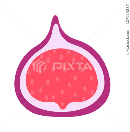 Vibrant illustration of a fig cut in half, showcasing its red flesh dotted with seeds and purple skin, ideal for food illustrations, health publications, or culinary designs 127024287