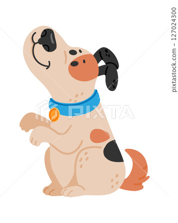 Playful spotted puppy raising paws and tilting head wearing blue collar with golden medal, begging for treats or attention, isolated cartoon illustration on white background 127024300