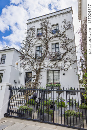 Elegant White London Townhouse with Wrought Iron Gate and Leafless Climbing Tree Elegant White London Townhouse with Wrought Iron Gate and Leafless Climbing Tree 127024867