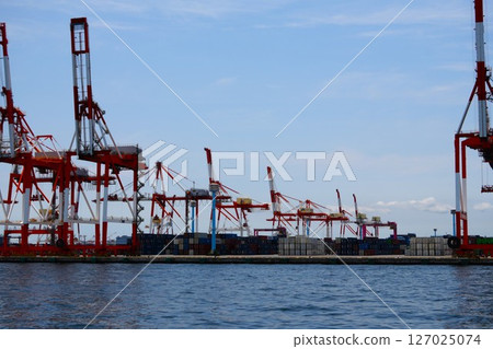 Cranes carrying containers at the port 127025074