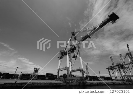 Cranes carrying containers at the port 127025101