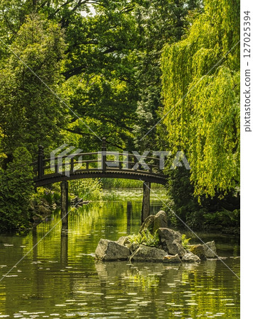 Scenic Bridge Over Tranquil Pond Surrounded by Lush Greenery 127025394