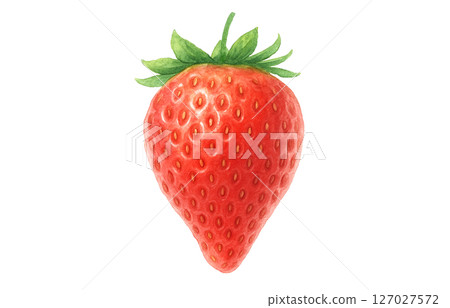 Strawberry watercolor illustration white background 127027572
