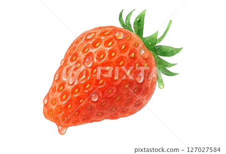 Strawberry watercolor illustration white background Strawberry watercolor illustration white background 127027584