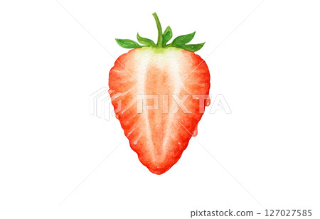 草莓水彩插圖白色背景 127027585