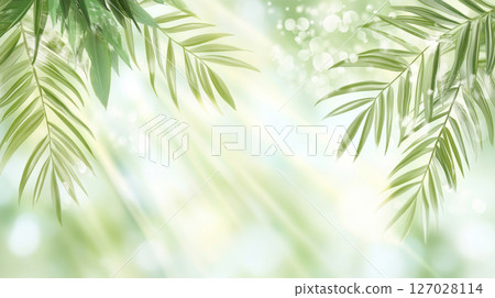 Tropical sunlight filtering through lush palm leaves, relaxing vacation background 127028114