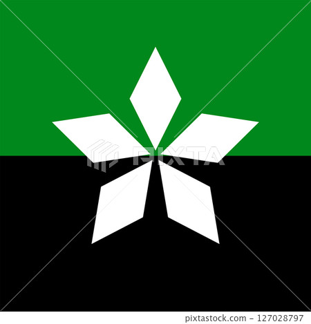 Flag of Soledar 127028797