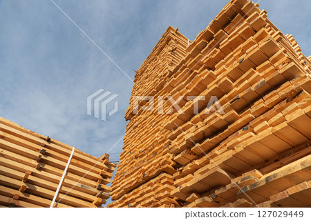 Tall stacks of wooden planks are neatly arranged at a lumber yard, showcasing a variety of timber types against a bright sky 127029449