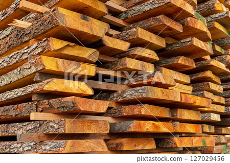 A variety of wooden planks are stacked in a lumber yard, showcasing different textures and colors under natural light A variety of wooden planks are stacked in a lumber yard, showcasing different textures and colors under natural light 127029456