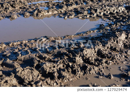 Damp ground shows uneven, muddy patches with visible puddles reflecting sunlight following recent rains in a rural landscape 127029474