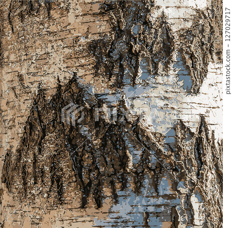 Vector illustration of Birch bark texture. The texture of birch bark. Birch bark background. Betula pendula Vector illustration of Birch bark texture. The texture of birch bark. Birch bark background. Betula pendula 127029717