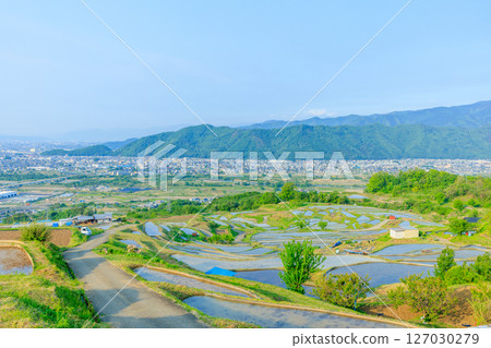 Obasute rice terraces in early summer, Chikuma City, Nagano Prefecture 127030279