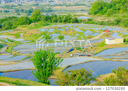 長野縣千曲市初夏的娘舍梯田 127030280