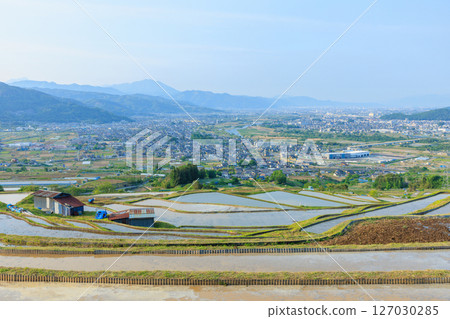 長野縣千曲市初夏的娘舍梯田 127030285