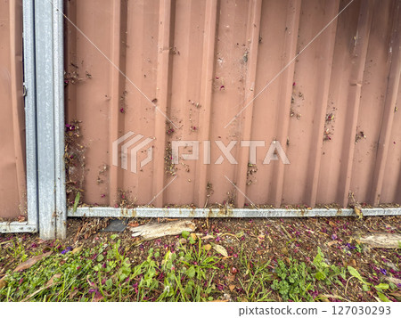 Foliage stuck in a spiderweb on an old fence 127030293