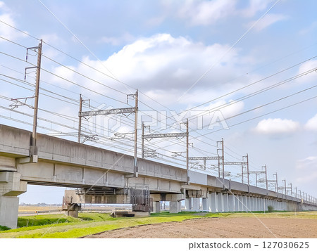 The Shinkansen viaduct running through the rural scenery of Niigata City 127030625