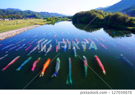 Saba River Koinagashi 3896 127030878