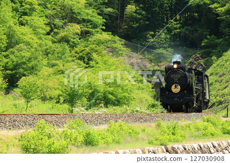 SL 山口 D51 1308 SL 山口 D51 1308 127030908