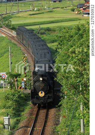 SL Yamaguchi D51 1464 127030912