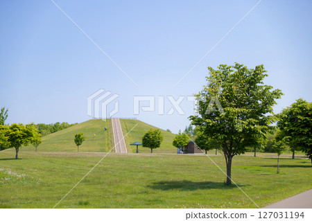 Forest mountain and blue sky 127031194