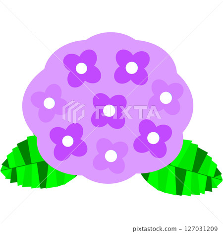 A cute illustration of hydrangea flowers that decorate the rainy season and early summer 127031209