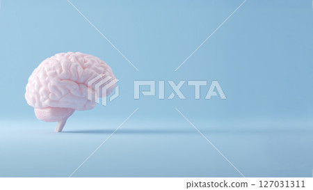 Beautiful brain 3D illustration with copy space 127031311