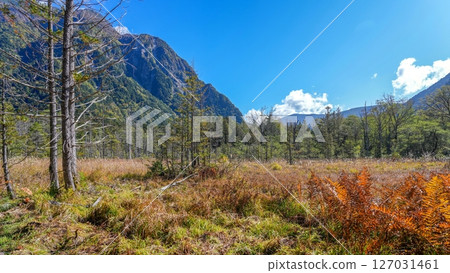 藍天映襯下上高岳澤濕地的深秋景色 127031461