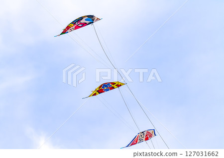 Shirane 巨型風箏大賽 2025 卷風箏 127031662