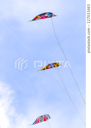 Shirane 巨型風箏大賽 2025 卷風箏 127031663