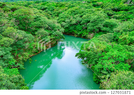 Deep green nature overlooked from the Crested Eagle Observatory: Ishigaki Island's subtropical jungle Deep green nature overlooked from the Crested Eagle Observatory: Ishigaki Island's subtropical jungle 127031871