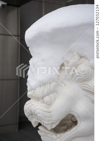 雪中的獅子 雪中的獅子 127032134