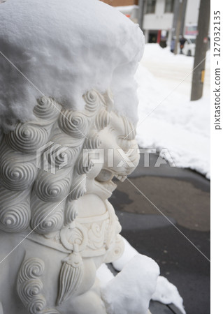 雪中的獅子 雪中的獅子 127032135