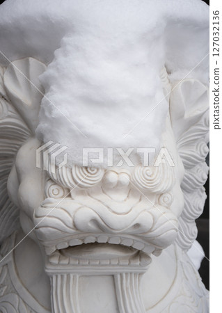雪中的獅子 雪中的獅子 127032136