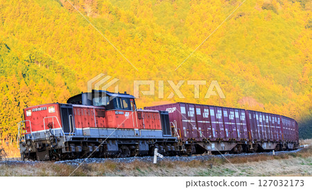 紀勢貨運列車駛過彎道，山面在朝陽的映襯下泛著金色光澤。 127032173