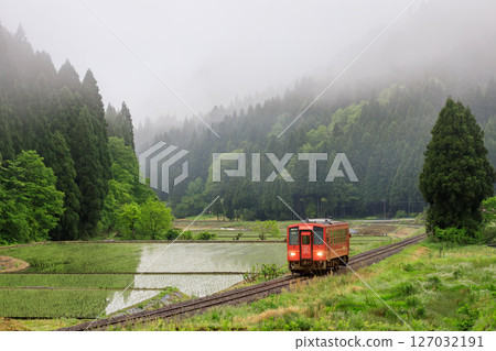 A single-car diesel railcar on the Echigo-Minami Hokuriku Line runs through a field of freshly planted rice shrouded in morning mist. 127032191