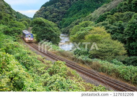 A diesel train on the Kansai Main Line heading towards Kamo through a deep green valley early in the morning 127032206
