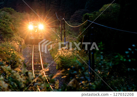 A diesel train on the Bantan Line with its powerful headlights passing through the forest before dawn A diesel train on the Bantan Line with its powerful headlights passing through the forest before dawn 127032208