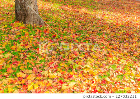 用落葉編織而成的天然地毯 127032211